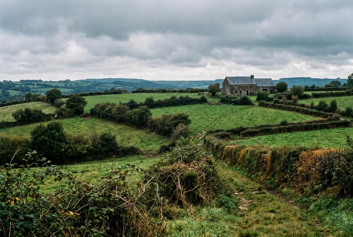 Plaine d’Argentan, cultures et prairies d’élevage bordées de haies
