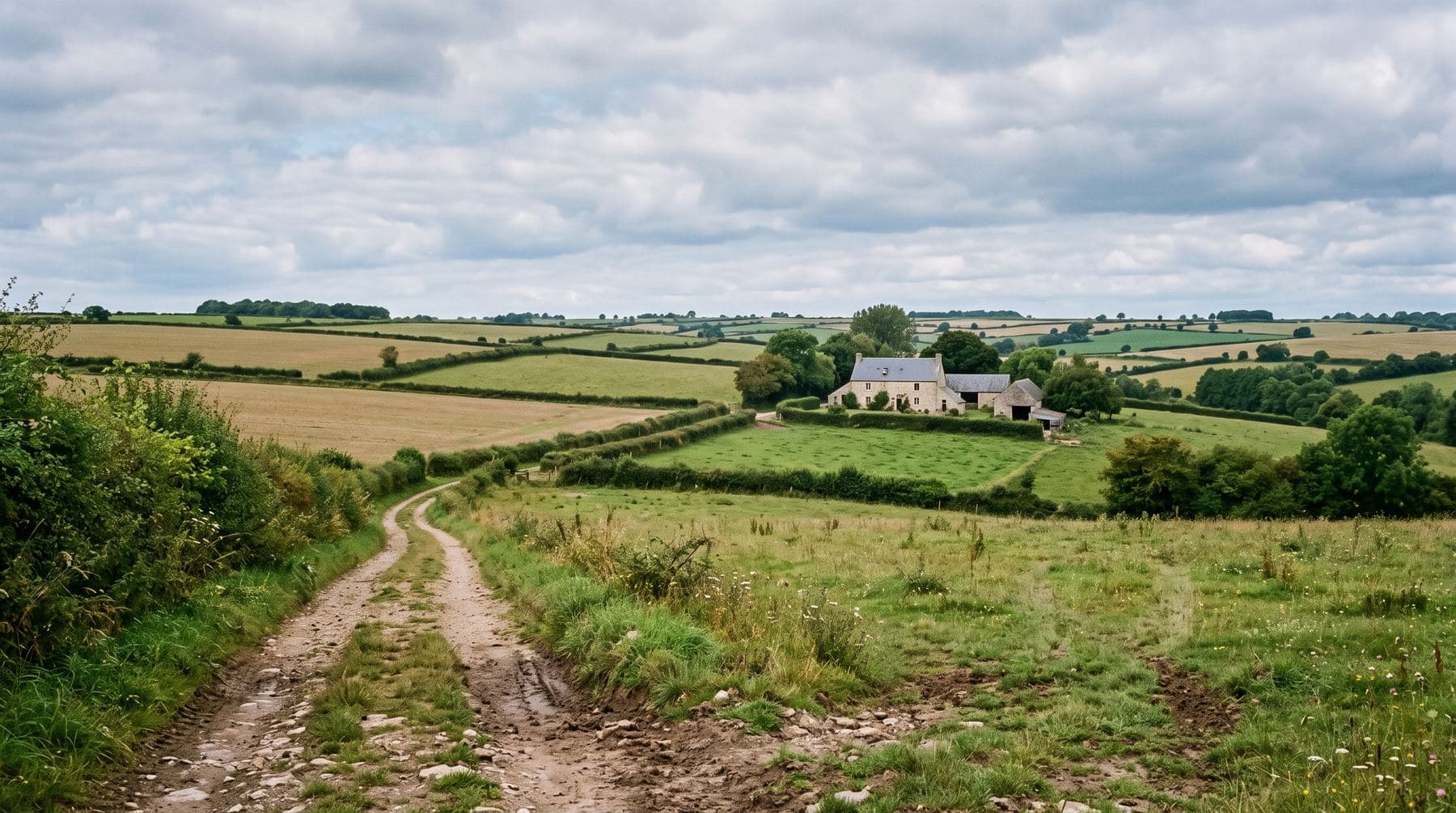 Campagne calcaire du Bessin avec haies et bâti en pierre, département du Calvados